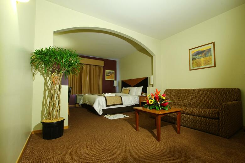 Hotel Sleep Inn Paseo Las Damas