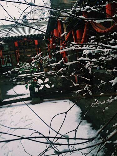 Albergue Pingyao Harmony Guesthouse