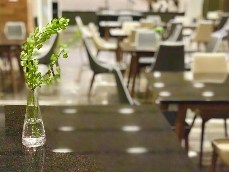 Hotel Hilton Garden Inn Aguascalientes