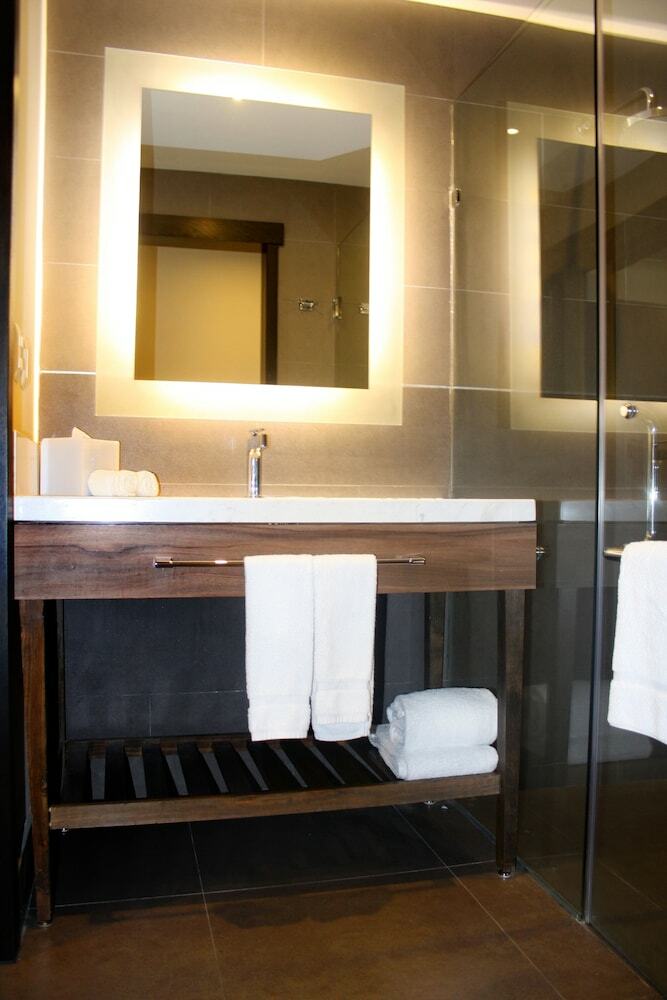 Hotel Hilton Garden Inn Aguascalientes