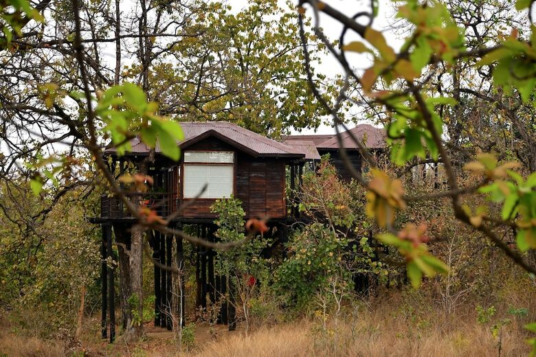 Posada Pugdundee Safaris - Pench Tree Lodge