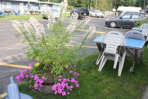 Kingsbridge Inn / Bon-air Motel