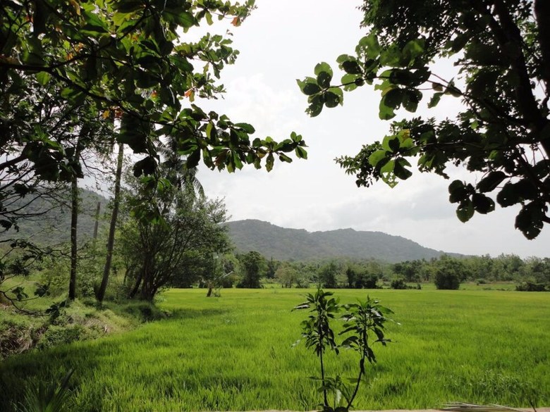 Hotel Tikiri Villa Eco Resort