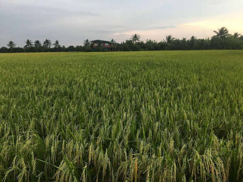 Hotel Baan Suan View Dee Homestay