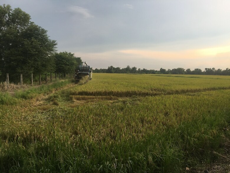 Hotel Baan Suan View Dee Homestay