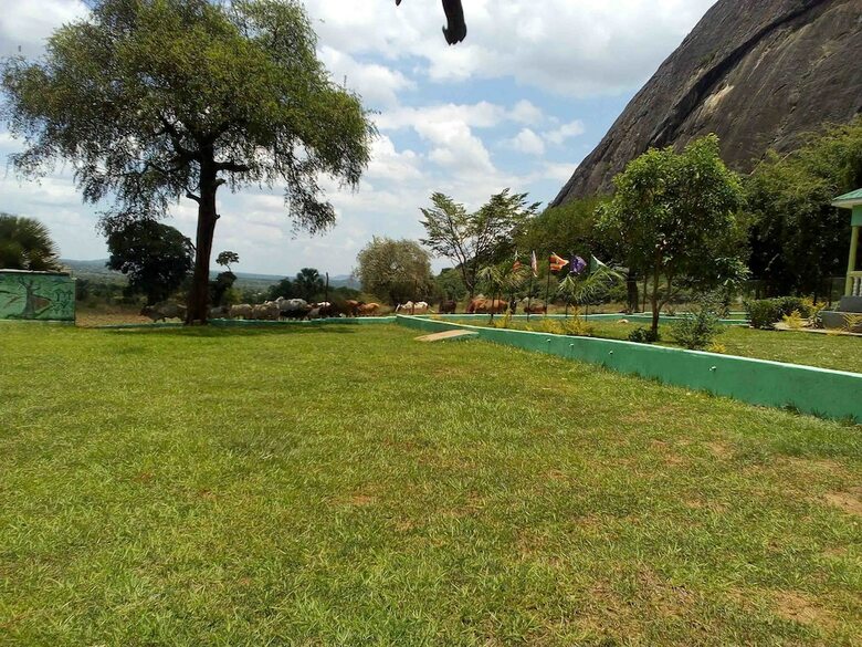 Hotel Green Oasis Guest House And Tours