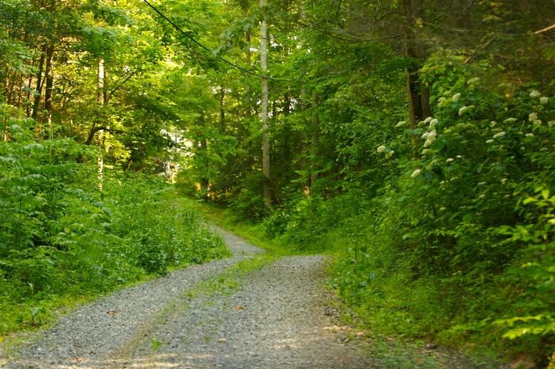 Bed & Breakfast Gatlinburg Adventure Cabins