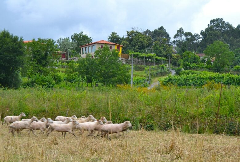 Quinta Do Olival