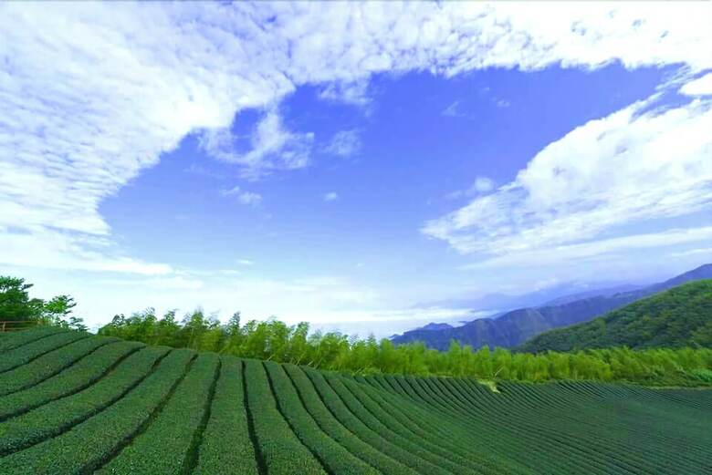 Agroturismo Shen Shan Lin Nai B&B