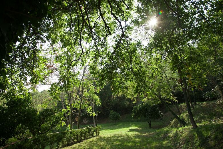 Agroturismo Agriturismo La Vecchia Quercia