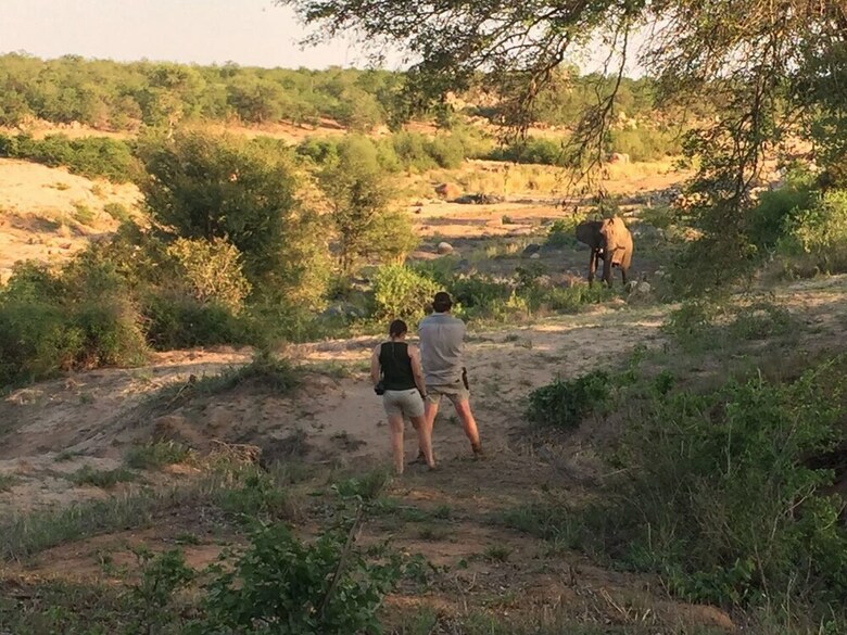 Posada Mthimkhulu Private Game Reserve- Adults Only