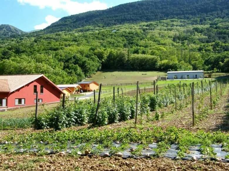 Agroturismo Fattoria Antica Forconia