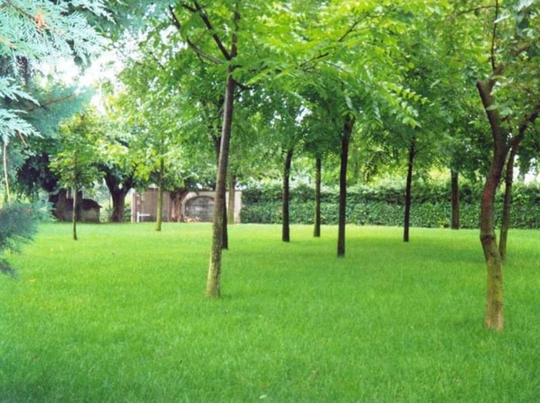 Agroturismo Agriturismo Corte Trincerone