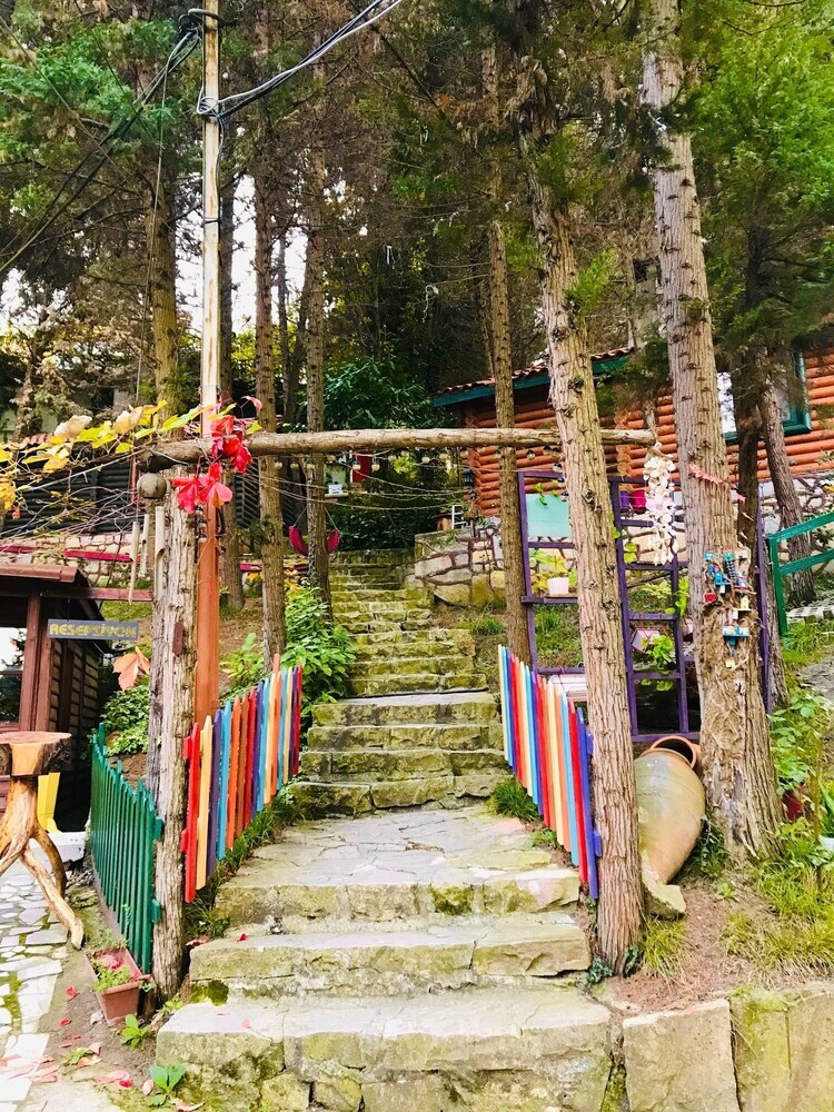 Hotel Agva Orman Evleri (Forest Lodge)