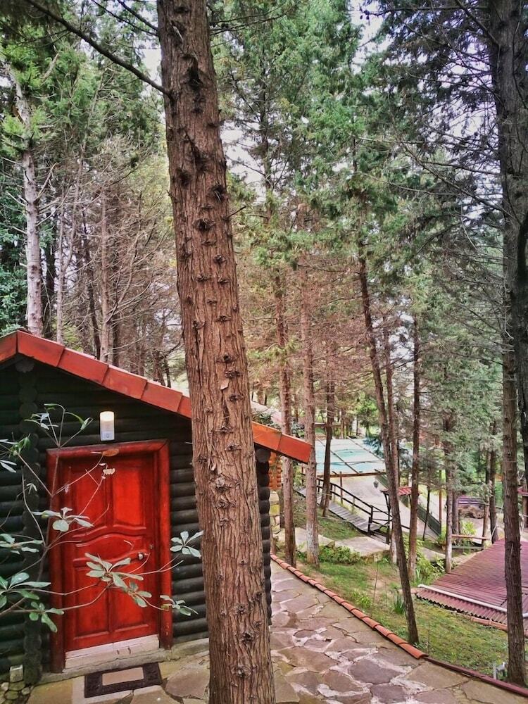 Hotel Agva Orman Evleri (Forest Lodge)
