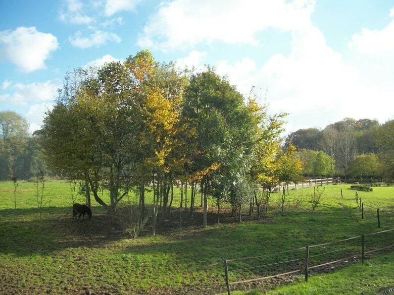 Agroturismo Le Manoir de Briquedalles