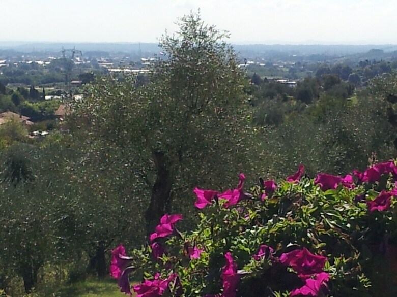 Agroturismo Il Campano