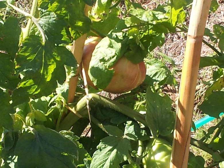 Agroturismo Il Campano