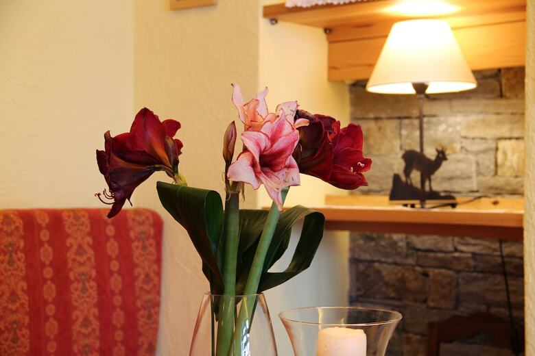Hotel Albergo Edelweiss
