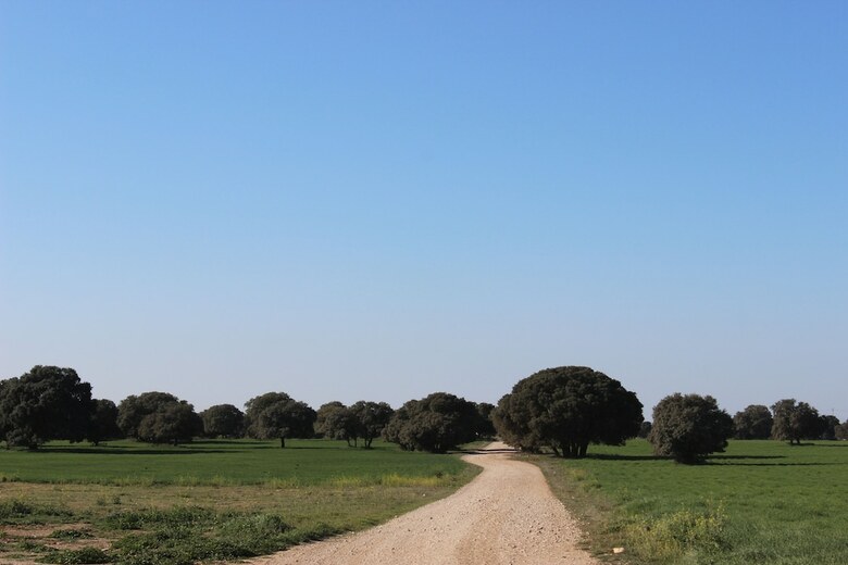 Agroturismo Casa Rural Monteguerra