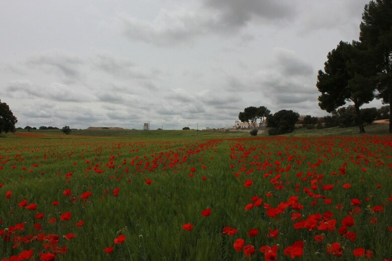 Agroturismo Casa Rural Monteguerra