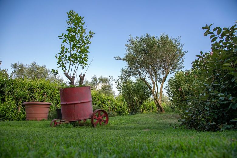 B&B Ellera Viterbo
