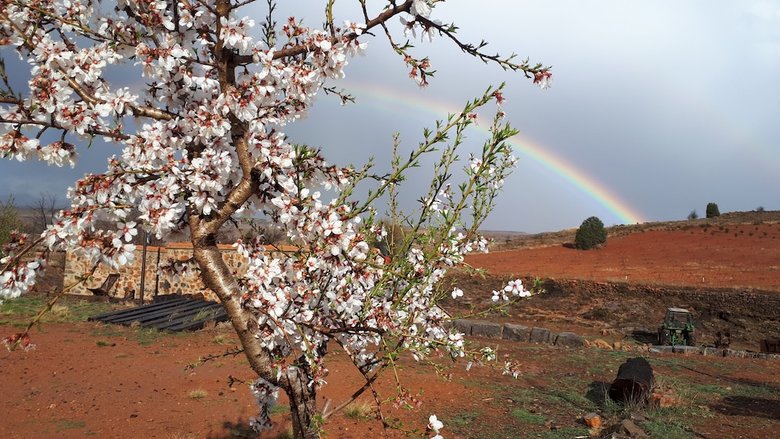 Hotel La Casa de La Estaci�n