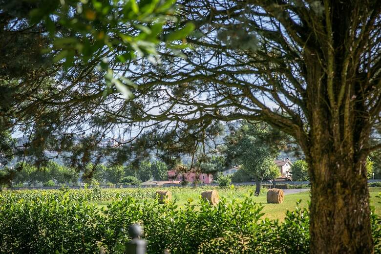 Agroturismo Agriturismo Il Quercione