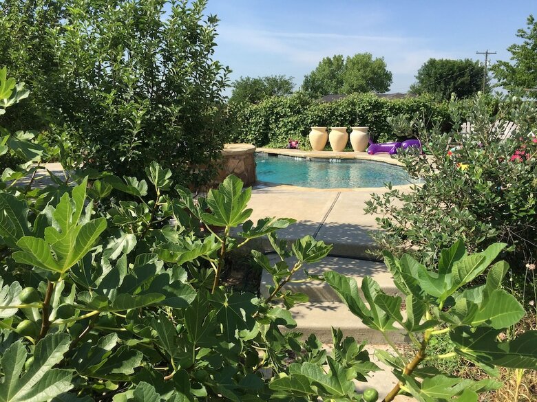 The Big Green House Bed & Breakfast