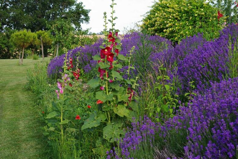 Bed & Breakfast Le Hameau Des Coquelicots