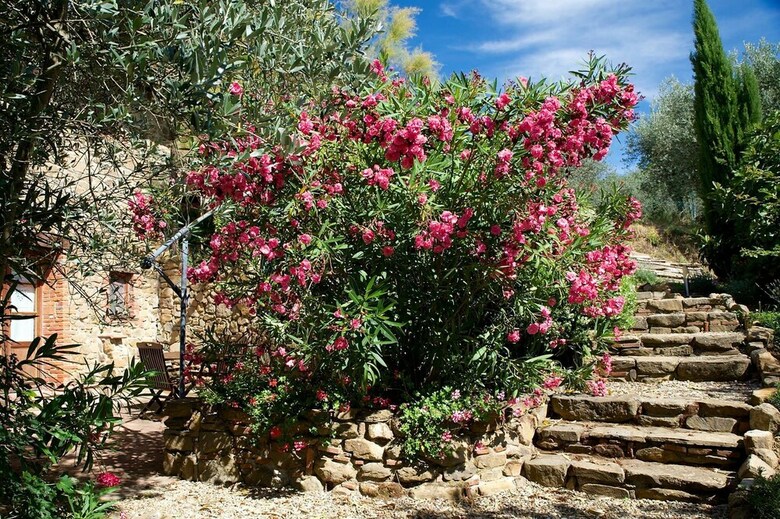 Agroturismo Ventena Vecchia Antico Frantoio