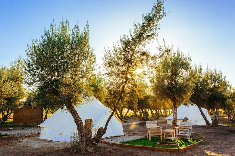 Hotel Guadalupe Valle Glamping