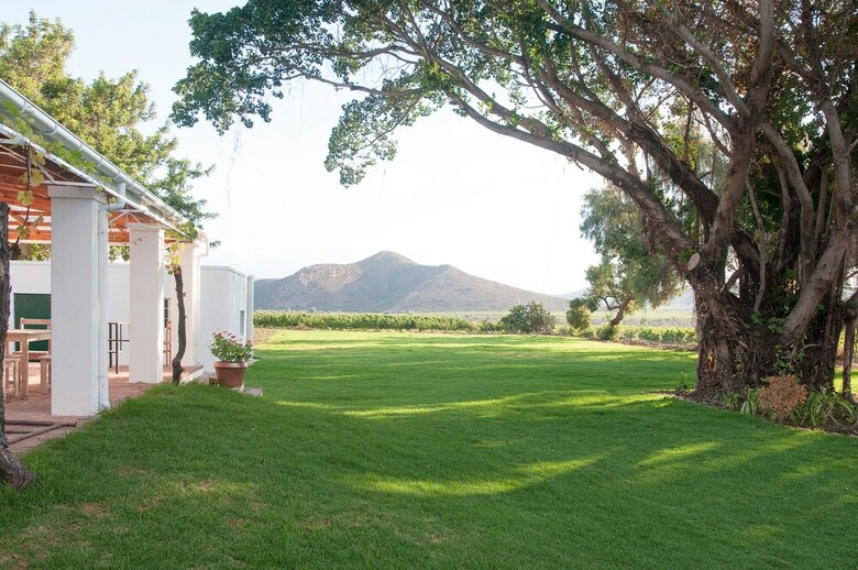 Hotel Green Olive Guesthouse