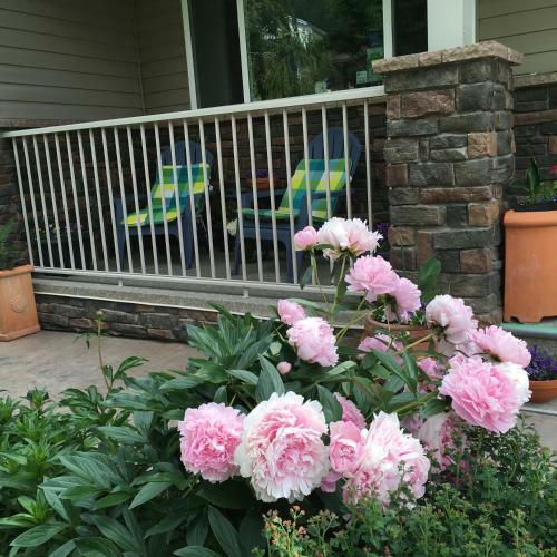 A Day's Dream B&B