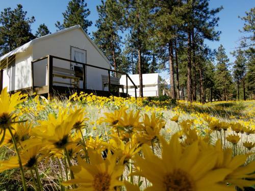 Hotel Kumsheen Rafting Resort