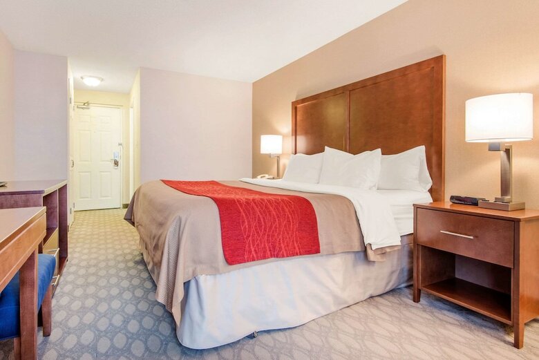 Hotel Comfort Inn Fallsview