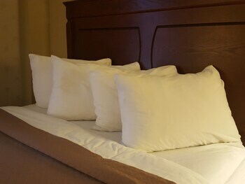 Hotel Quality Inn And Suites