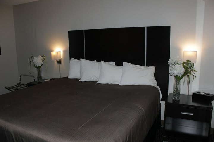 Ramada Plaza Niagara Falls Hotel