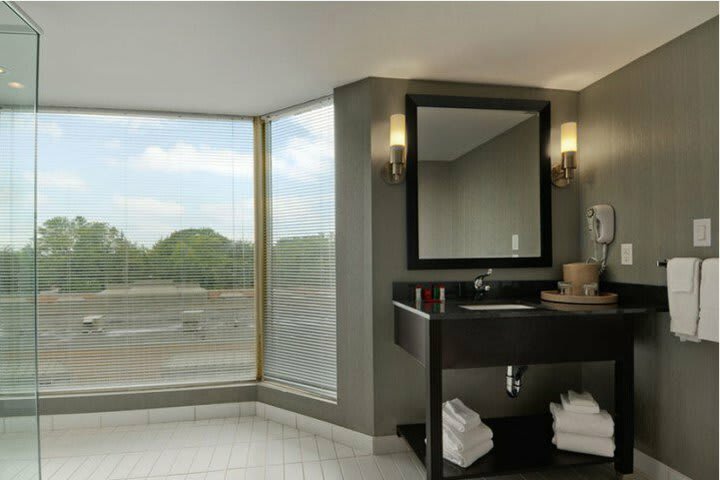 Ramada Plaza Niagara Falls Hotel