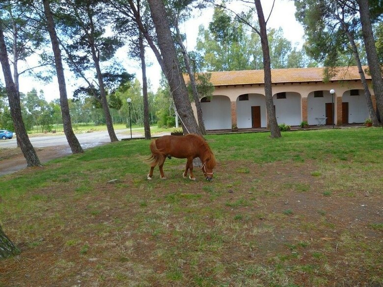 Agroturismo Agriturismo Agrifoglio