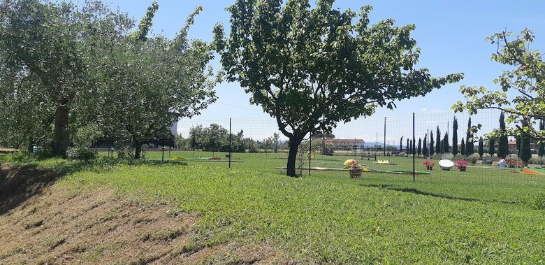 Agroturismo Il Chiassetto