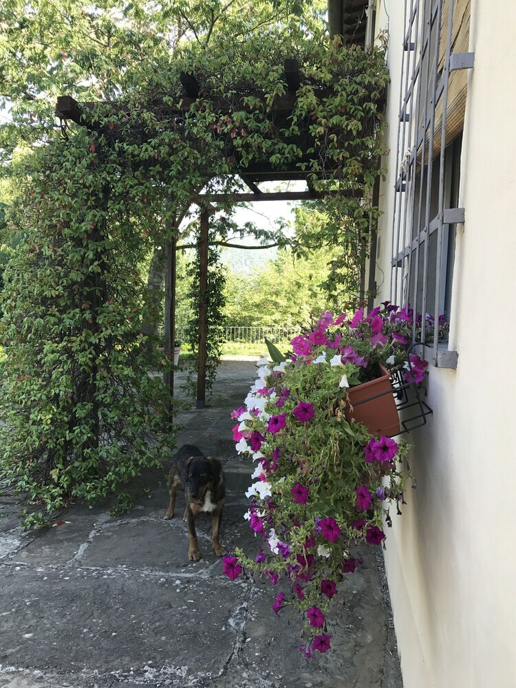 Agroturismo Il Pezzatino