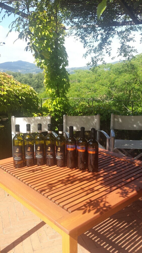 Agroturismo Il Pezzatino