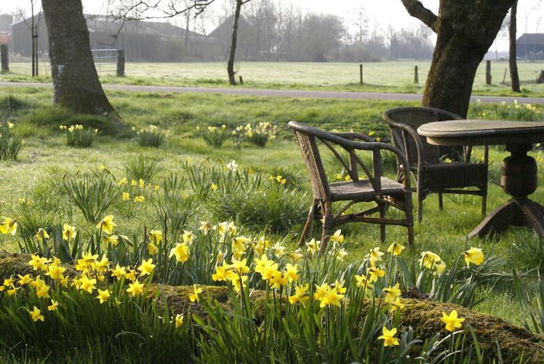 Bed & Breakfast de Heerlijkheid Ruinerwold