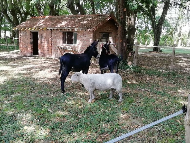 Hotel Le Domaine de La C�te Aux Chats