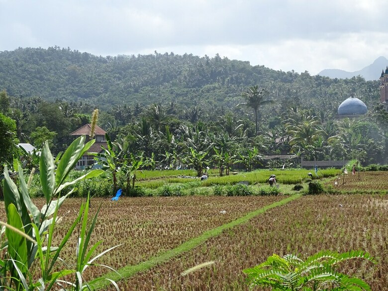 Bed & Breakfast Bale Solah