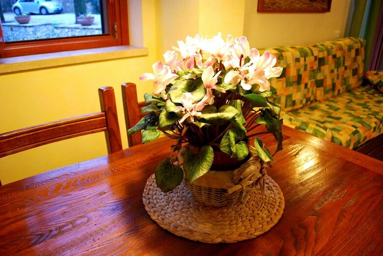 Agroturismo Agriturismo Valle Degli Arci