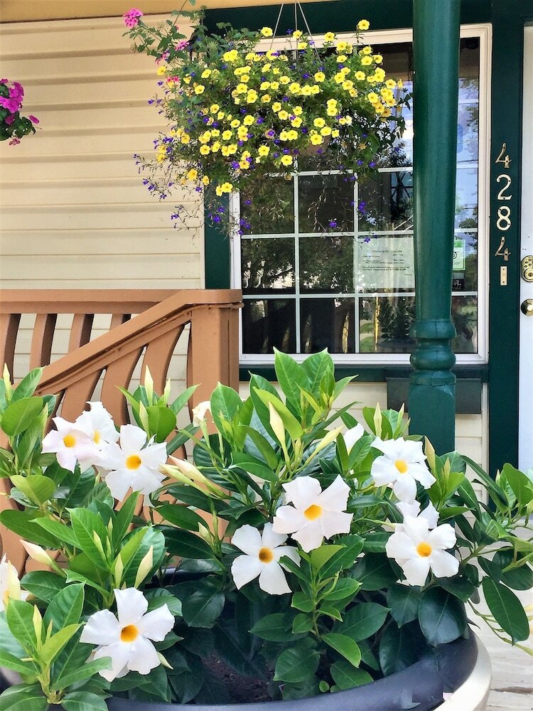 Ellis House Bed & Breakfast