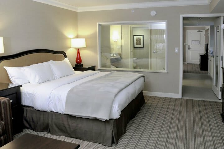 Hilton Hotel And Suites Niagara Falls/fallsview