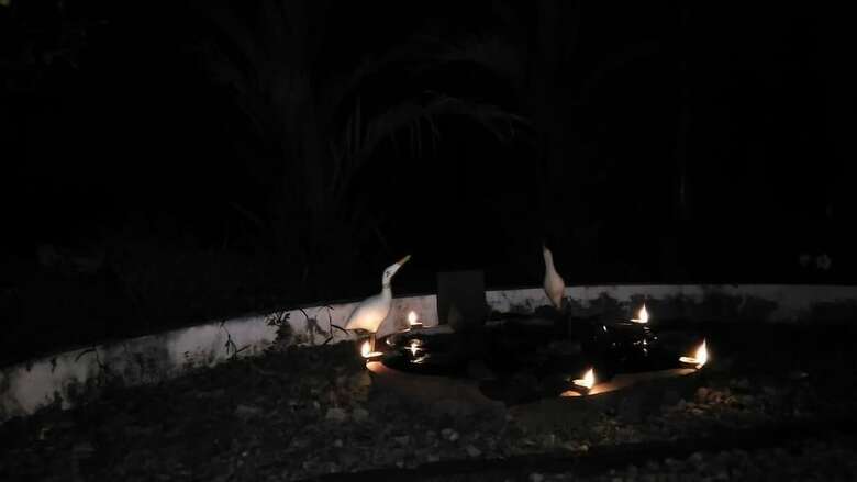 Bed & Breakfast Kuttickattil Gardens Home Stay